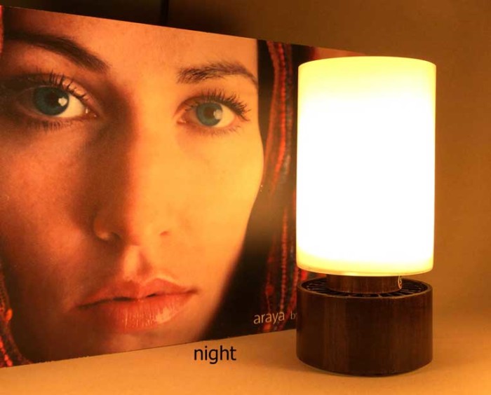 Sunlight Lamp Natural Light Lamp for Better Health Sunlight Inside