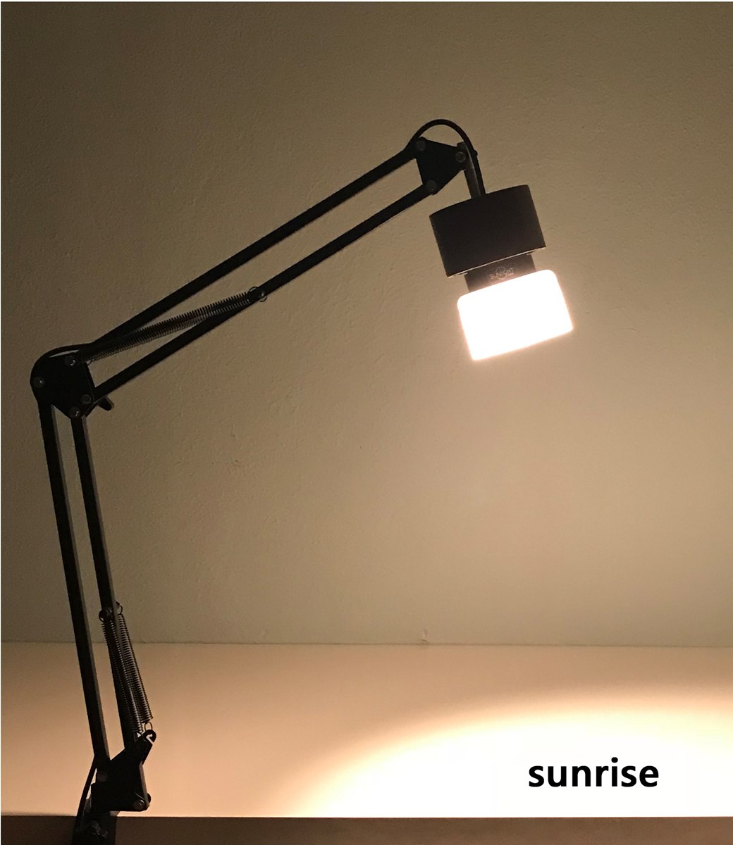 geschenk Alarmerend Kalmte Sunlight Lamp - Natural Light Lamp for Better Health | Sunlight Inside