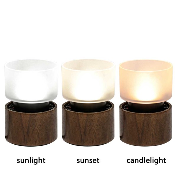 Experience healthy, beautiful natural light Natural Light Lamps!